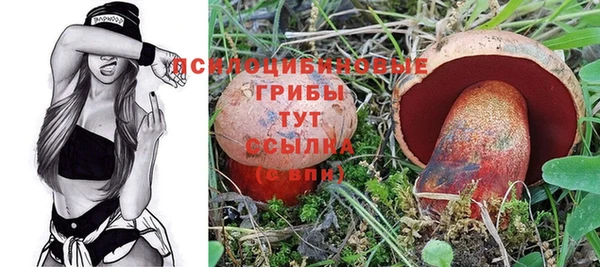 бутират Баксан