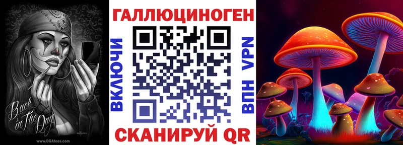 Псилоцибиновые грибы мицелий блэк спрут ТОР Заречный