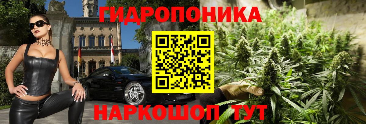 Марихуана тримм  Вход с VPN  Заречный  Марихуана Ganja  Марихуана OG Kush  Канабис White Widow 